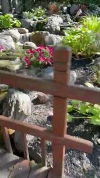 Water Feature Maintenance Made Easy #shorts