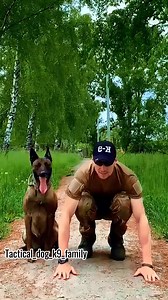 41K views · 1.8K reactions | dogs are friends. If you are good and love it, it is ready to protect you and your family #fyp #trending #foryou #tactical #hundetraining #hundetrainer #hundevideos #k9 #k9training #k9handler #dog #dogtactical | Dogs k9+ | Facebook