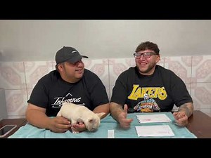 How to DNA test a puppy