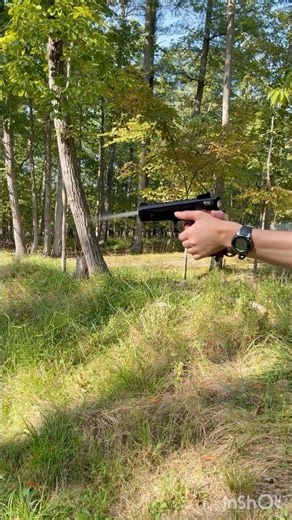 Old Fashioned Daisy Model 93 #airgun #shootingrange #pistolshooting