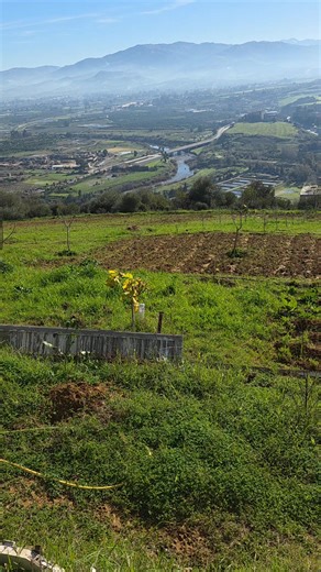Vidéos de maliksti (@maliksti) avec son original - Karim OSM