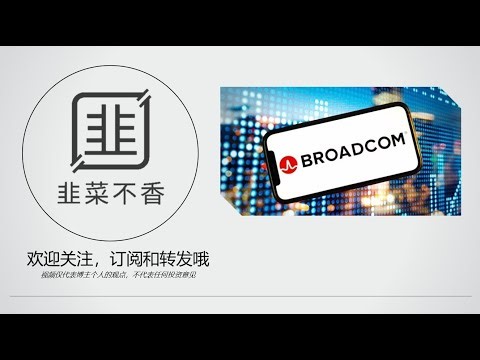 Broadcom财报炸裂！AI红利还能撑多久？