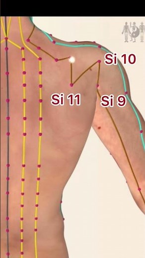 Small Intestine Meridian Acupuncture Points #acupuncturepoints