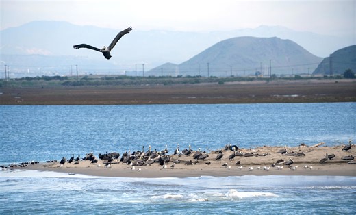 Naval Base Ventura County gets national conservation award. Here's why