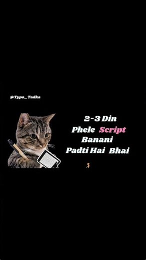 Bahar jane ke liye bhi script banani padti hai😭😂 #shorts #typotadka #typography #cat