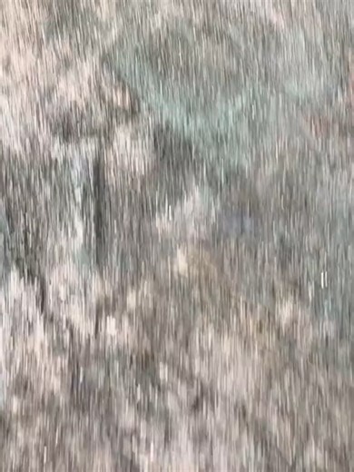 Xiaomi Redmi Note 14 Pro: Evaluación del Video en 1080p60fps