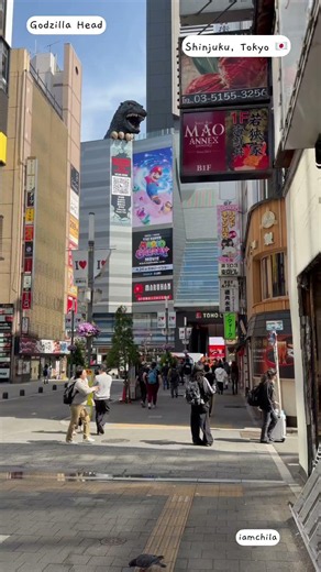 What to see in Shinjuku, Tokyo, Japan? Is it worth visiting? #godzilla #3dcat #travel #city #japan