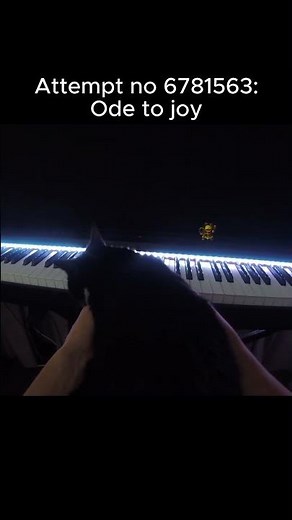 She's becoming a VIRTUOSO! #piano #music #pianotok #pianomusic #funny #cat #funnycats