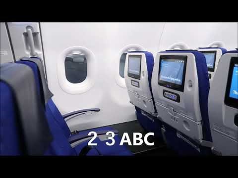 【業務用2022】後方は千鳥配置 ANA A321neoの窓割り