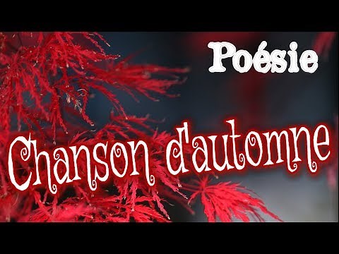 French poem 🍁 Chanson d'automne de Paul Verlaine 🍁