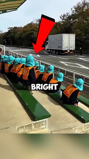 44K views · 269 reactions | Japan s Road Safety Lesson Will Shock You #shorts | Curiosity00 | Facebook