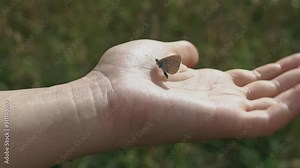 Woman releases the butterfly from her hand.Butterfly flies away into the wild