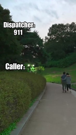 Domestic Cat Holds Family Hostage #911calls #911audio #viral