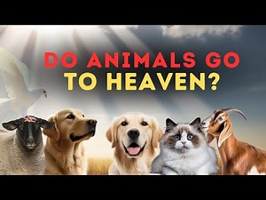 Do Animals Go to Heaven? A Surprising Biblical Insight!