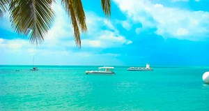 CVC tem pacotes com voos exclusivos e 2º passageiro grátis