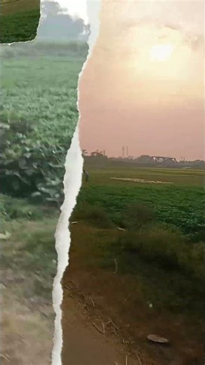 #hindisong #song #music #love #food #lifeisbutadream #december7 #entertainment #recipe #