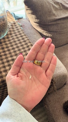 Puppy Teething Woes - A Funny Take