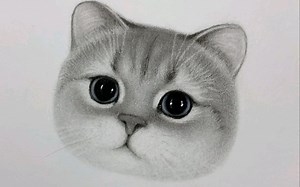 超级简单的猫咪画法