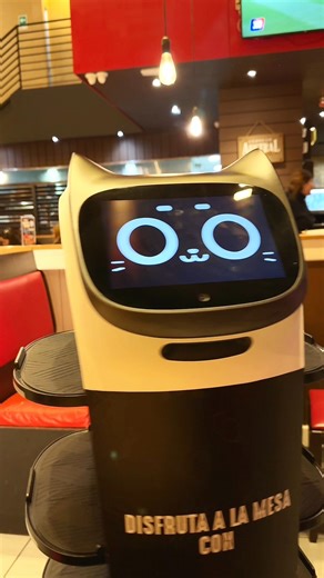 ¡En Mamut tenemos un nuevo miembro en la manada! 🐱🤖 Conozcan a nuestro nuevo garzón, un adorable robot que te lleva la comida a la mesa con la mejor actitud. ¡Ven a vivir esta divertida experiencia y déjate sorprender por el mejor servicio! Miauu! Lo podrás conocer en nuestros locales en Mallplaza Vespucio, Mallplaza Egaña y Mall Curicó. | Mamut Restaurant
