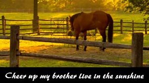 FARTHER ALONG Lyrics - BRAD PAISLEY | eLyrics.net