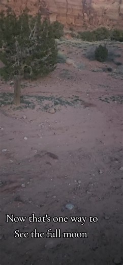#fullmoon #moab #camping #beaUTAHful #rest