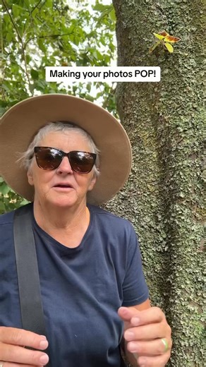 Creating a shallow depth of field is making the background out of focus which makes the subject ‘pop’ - there’s a bit of a formula to follow to create a shallow depth of field - this is it | deecau