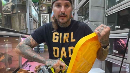 Shipping venomous snakes - what nearly went wrong with a cobra