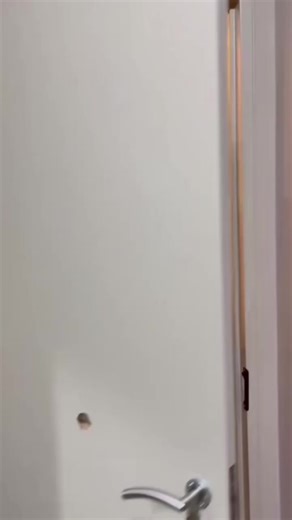 Anüolian professional (@anolian.professio)’s videos with original sound - Anüolian professional