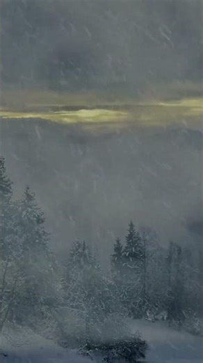 Arctic Blizzard Sounds | Deep Howling Wind for Sleep & Tinnitus Relief (No Music)