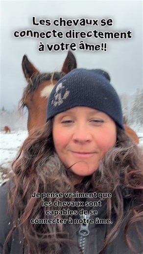106 reactions · 28 comments | ✨ La vérité, c’est que les chevaux...