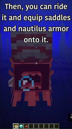 How to Tame and Ride the NAUTILUS! #minecraft #mctutorial#minecrafttipsandtricks #mctutorial