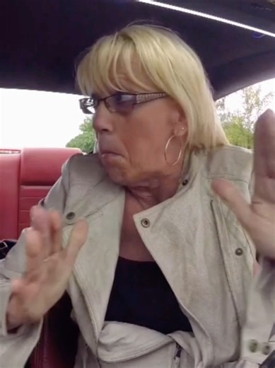 #lespireschauffardsqubecois #humour #qc