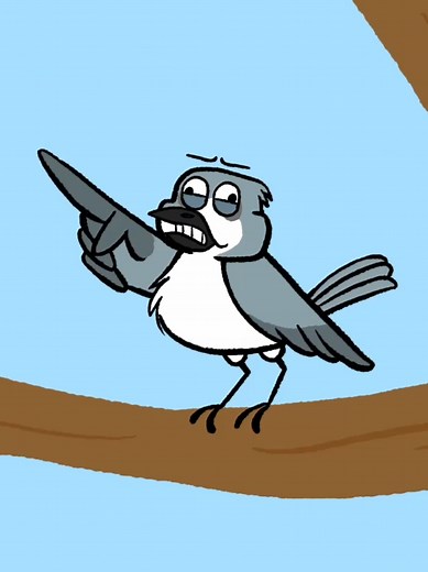 Funny Mockingbird Animation