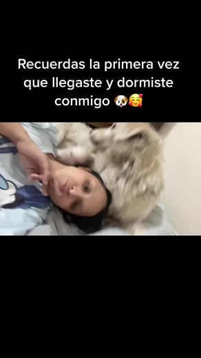 Alexia Hernandez on TikTok