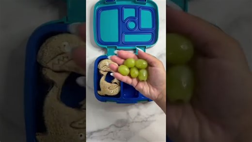 Shark 🦈 #viral #kidslunchbox #bentobox #lunchbox #tinatakeslunch #shorts #bentgo #shark #sharks