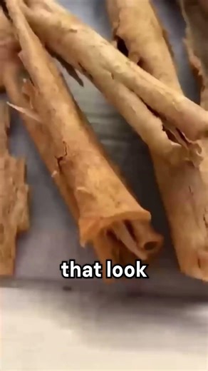 You've been eating this tree your whole life and you didn't know it.