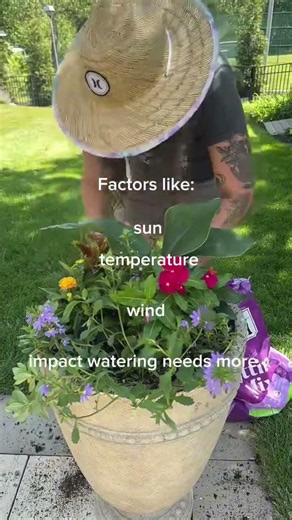 💧 "Can plants with different watering needs really grow together in the same pot?"