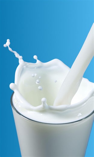 How Milk Gets From The Cow To Your Glass