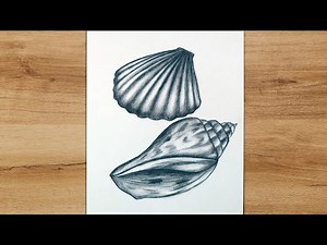 How to Draw Seashells Step by Step for Beginners | Realistic Pencil Drawing