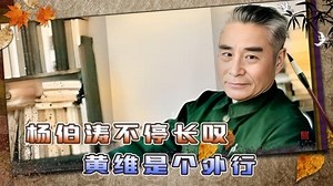 杨伯涛至死都无法原谅黄维，躺在病床上不停长叹：黄维是个外行！
