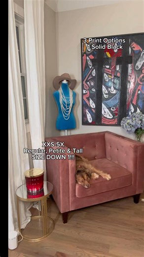 Brandis Dress Out Loud Print or Solid Relaxed Pants for QVC REGULAR https://www.qvc.com/brandis-dress-out-loud-regular-print-solid-relaxed-pants.product.A704266.html?sc=navlist PETITE https://www.qvc.com/brandis-dress-out-loud-petite-print-solid-relaxed-pants.product.A704267.html?sc=navlist TALL https://www.qvc.com/brandis-dress-out-loud-tall-print-solid-relaxed-pants.product.A704269.html?sc=navlist | Brandis Bradley