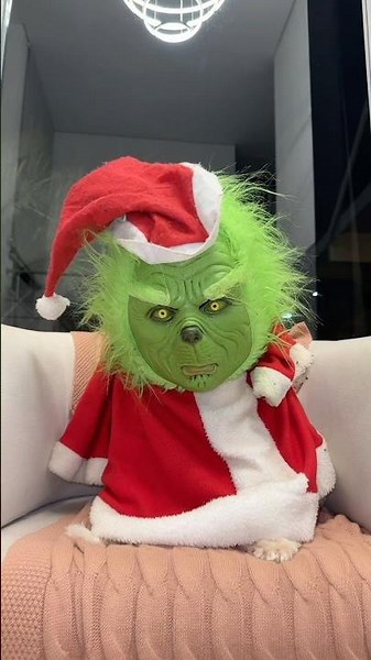 I TURNED SLINK INTO THE GRINCH
