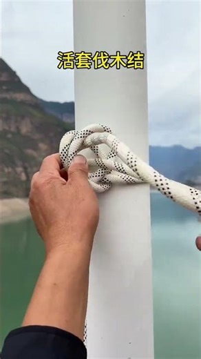 Loop logging knot, fixed point locking stake, felling trees, trailers are very practical