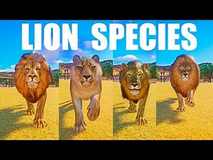 LION Species Speed Races in Planet Zoo includes Steppe Lion, Barbary Lion, Northern Lion