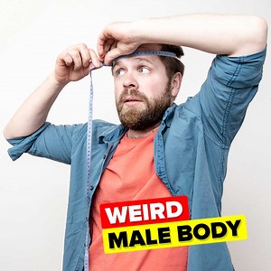 954K views · 7.2K reactions | The male human body is full of surprises, some big and some small, but each and every one of them is weird. Check out today's new video to find out more than you ever wanted to know about the male human body and all its strangeness. | The Infographics Show | Facebook