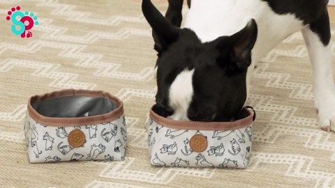 Sport Pet Travel Bowls - Soft Fabric 2pk