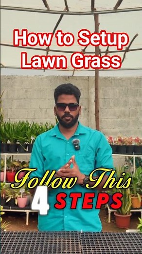 How to setup Lawn Grass Better | Green Formula Landscapers