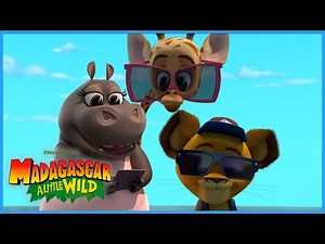 Gloria Saves The Day 🏖️🦈 | Madagascar: A Little Wild | DreamWorks Madagascar