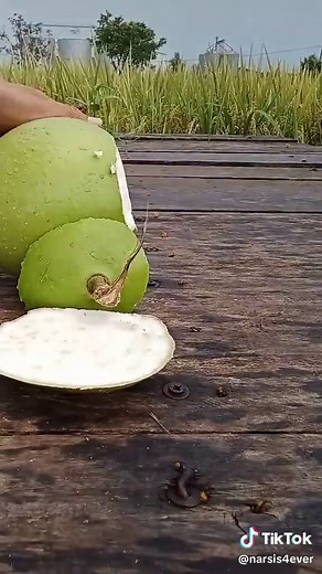 Nanar calabash fruit official on TikTok