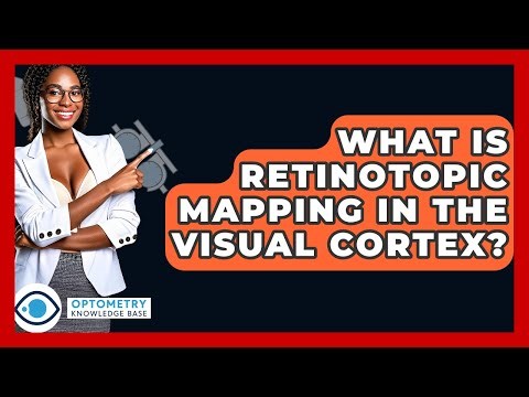 What Is Retinotopic Mapping In The Visual Cortex? - Optometry Knowledge Base